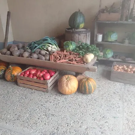 Tusinek Grzegorz Winiarek 3*