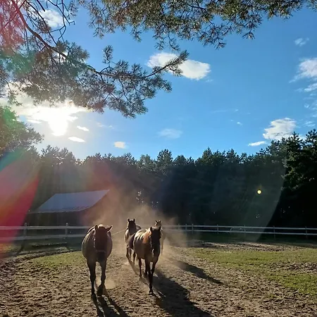 Tusinek Grzegorz Winiarek Rozogi