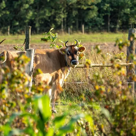 Tusinek Grzegorz Winiarek 3*